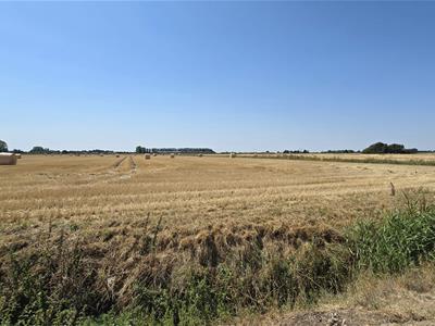 Picture 17